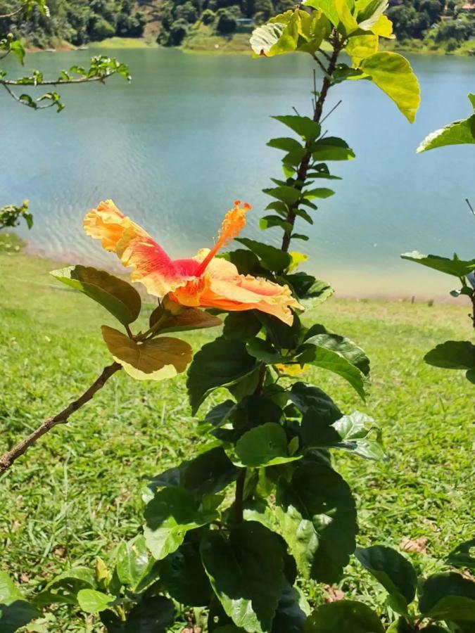 Maravilhoso Sitio Na Beira Da Represa Villa Igaratá Kültér fotó